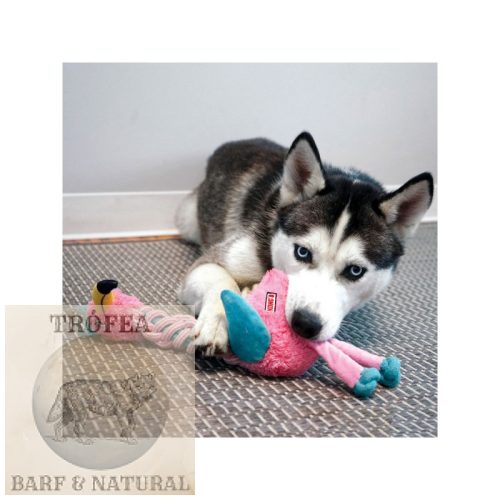 KONG® Knots Twists Flamingo