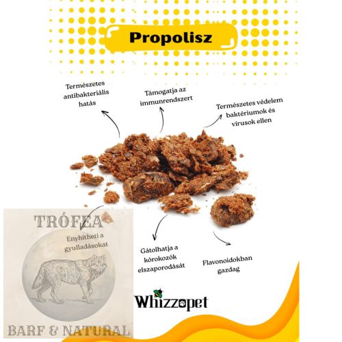 Whizzopet Bio Propoliszos ámorakác méz kutyának 250g