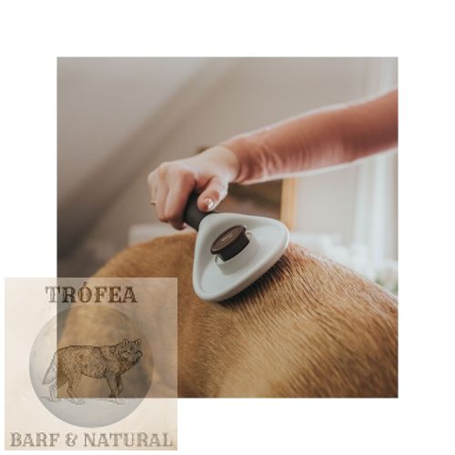 Hunter Szőreltávolító kefe Spa öntisztuló 