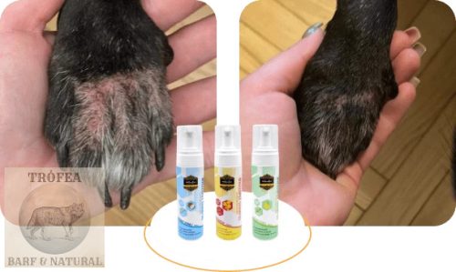 Whizzopet hipoallergén kutyasampon méz illattal 200ml