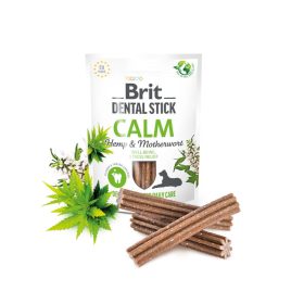 Dental Stick Calm with Hemp & Motherwort