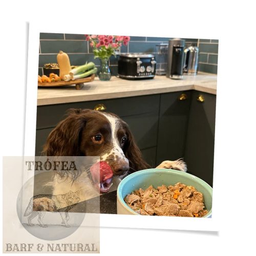 Nyúl főtt menü rizzsel, sárgarépával és áfonyával 400g - FIDELIS