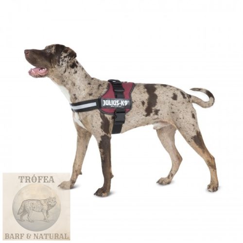 IDC® Powerhám Bordó, 2 (XL)