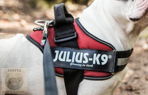 IDC® Powerhám Bordó, Mini -Mini (XS) 