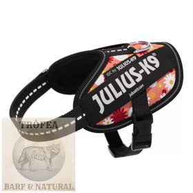   IDC® Kutyahám - Rózsaszín virágos , 2 – 5 Kg-os kutyák számára – 2XS / Baby 2 