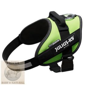 IDC® Powerhám Kiwi, Mini (S) 