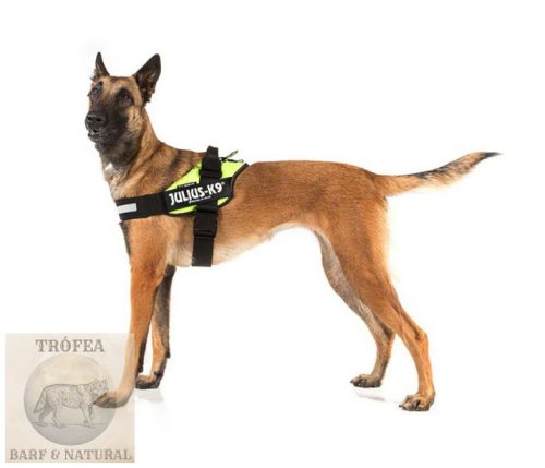 IDC® Powerhám Kiwi, Mini (S) 