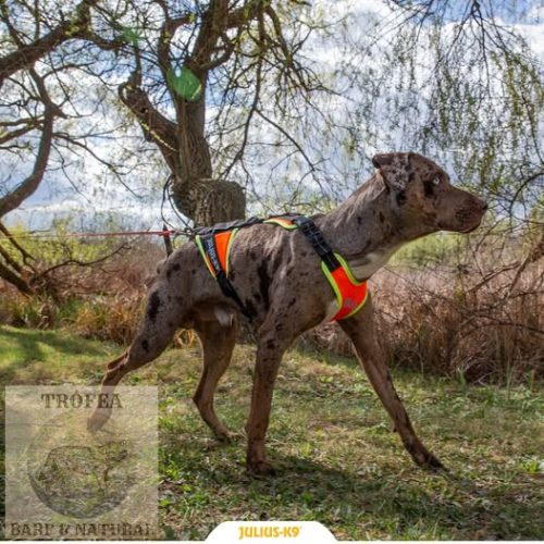 JK9® Mantrailing hám - fekete L-XL