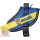 JK9® Paw Patrol Mancs örjárat Kutyahám Chas, XS 