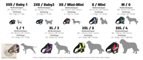 JK9® Paw Patrol Mancs örjárat Kutyahám Chas, XS 