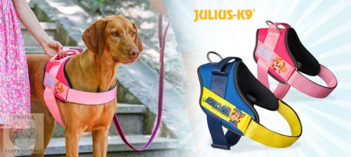 JK9® Paw Patrol Mancs örjárat Kutyahám Skye, L