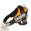 IDC® Powerhám Neon Narancs, 1 (L) 