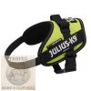 IDC® Kutyahám - Neon zöld, 4 – 7 Kg-os kutyák számára - XS / Mini-Mini  