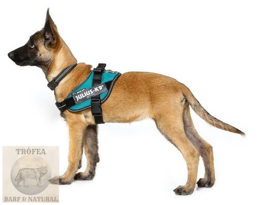 IDC® Powerhám Türkizkék, 0 (M) 