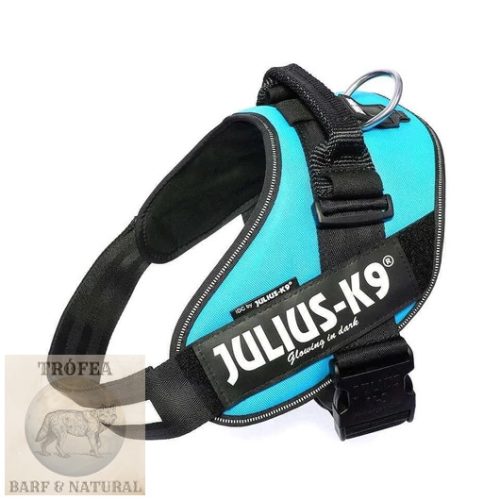 IDC® Powerhám Türkizkék, Mini-Mini (XS) 