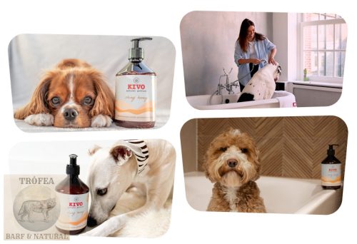 KIVO Shiny Honey Kutyasampon argán olajjal és mézzel 500 ml