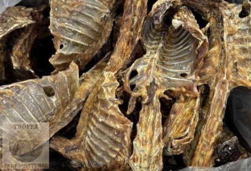 Szárított nyúl hátcsont, Mibial