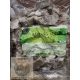 SDF - Báránypacal darabolva 1kg