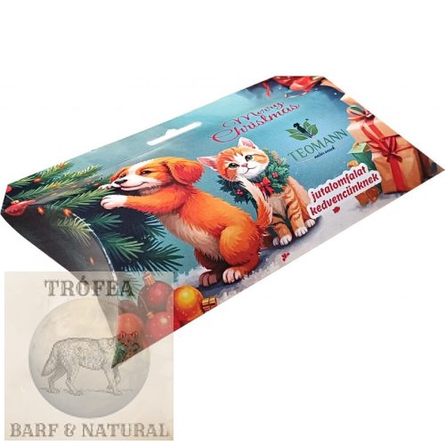 Teomann Karácsonyi Párnadoboz Bárány