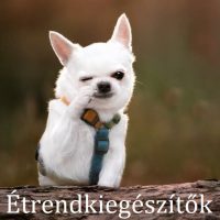 Étrendkiegészítők