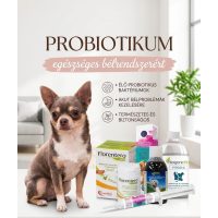 Probiotikumok, CBD olajok